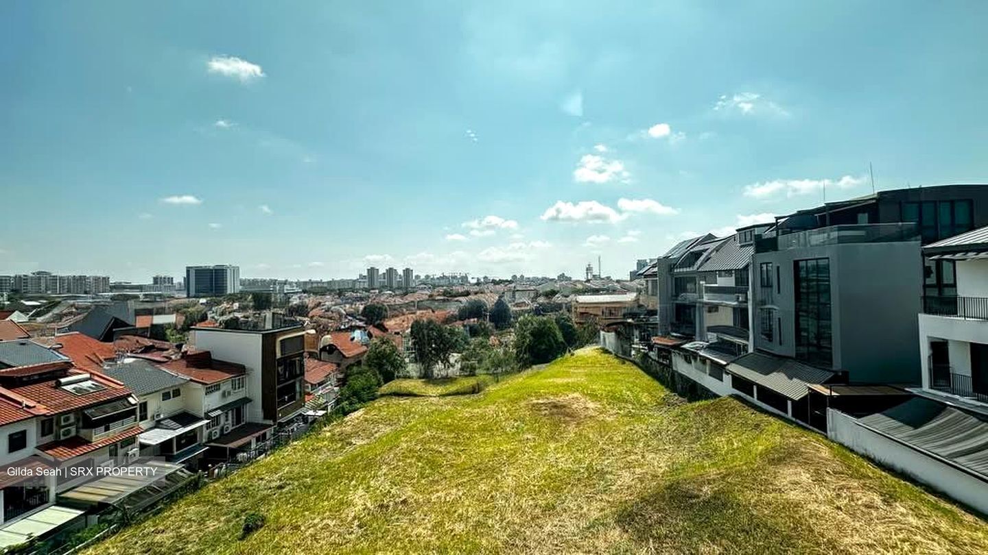 Frankel Estate (D15), Terrace #545955271
